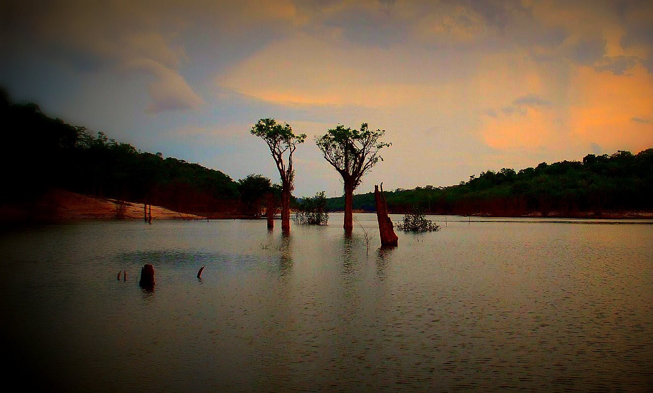 Amazonas
