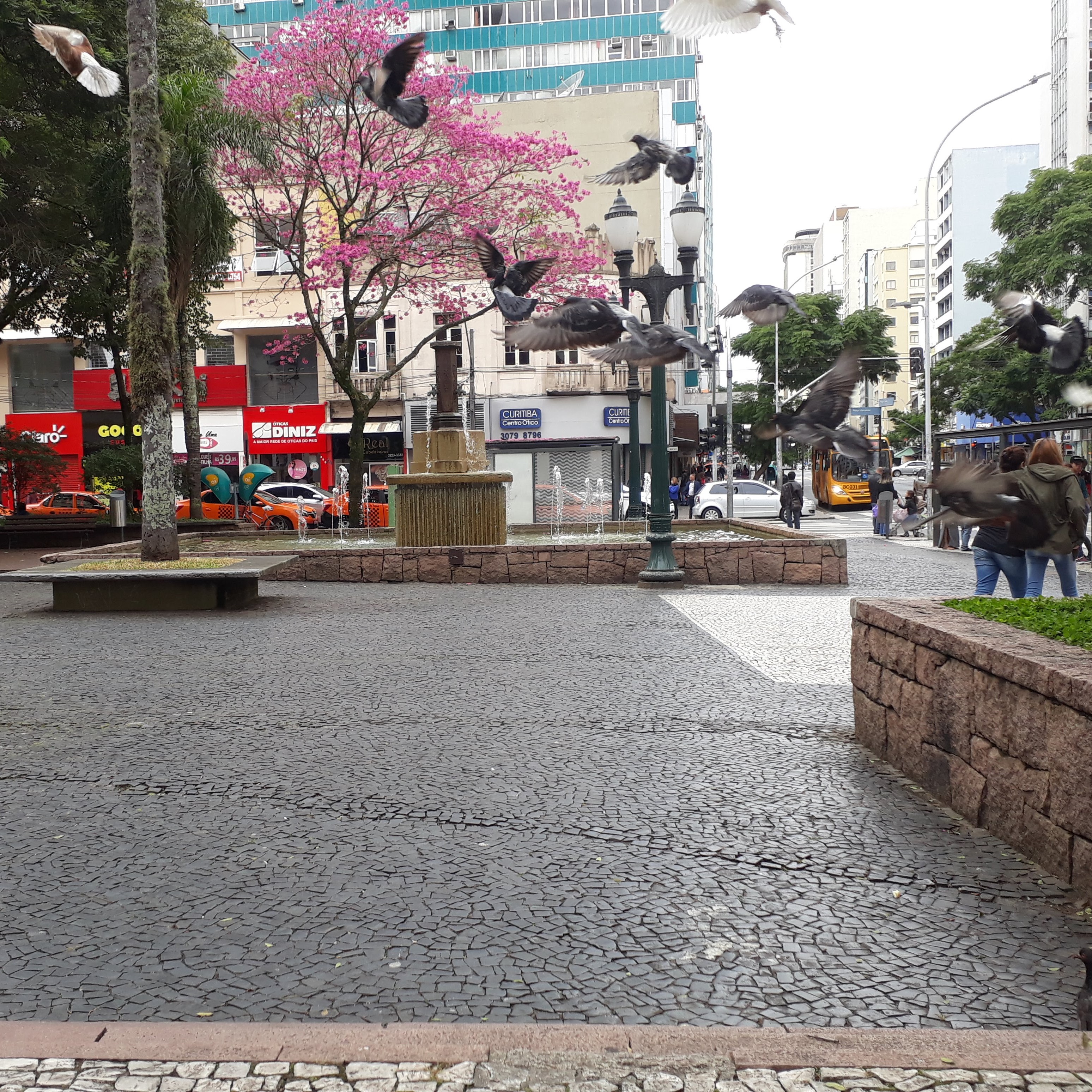 Curitiba VII