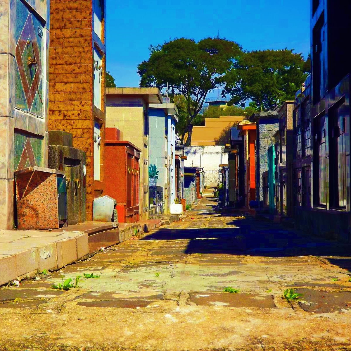 Gavetas – Curitiba