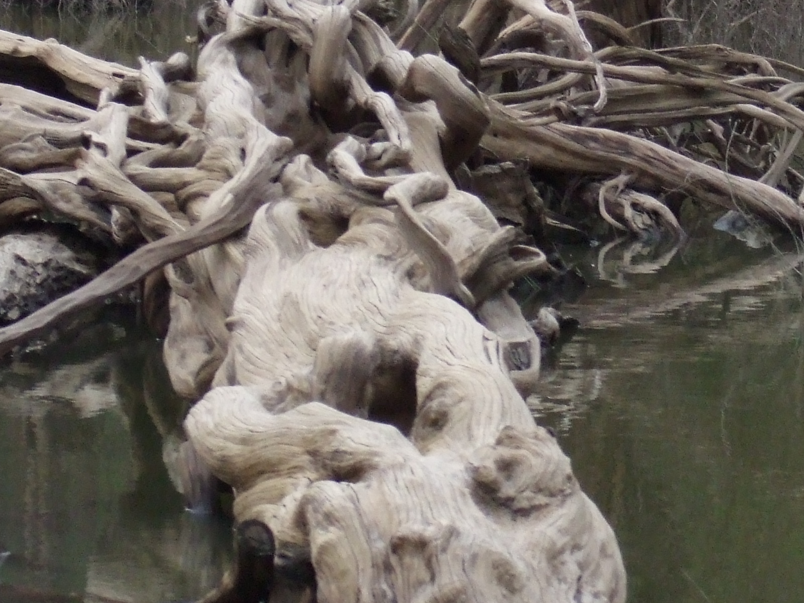 DSCF5541