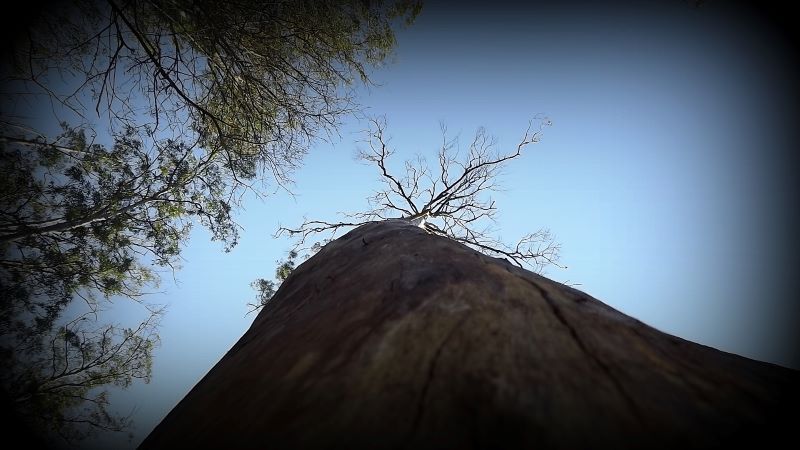 DSCF1446