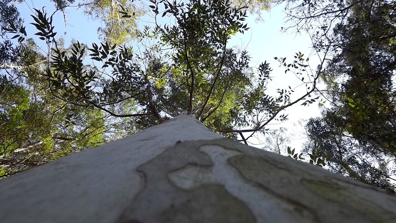 DSCF1466