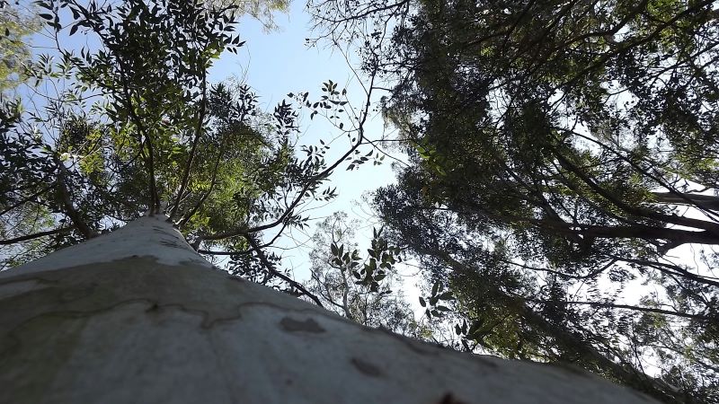 DSCF1467