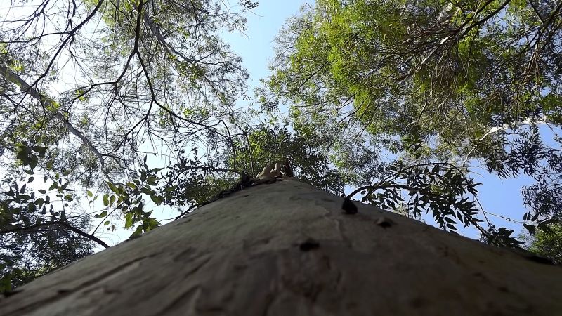 DSCF1469