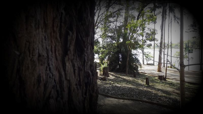 DSCF1471