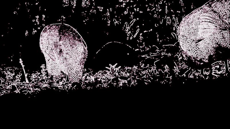 DSCF1485